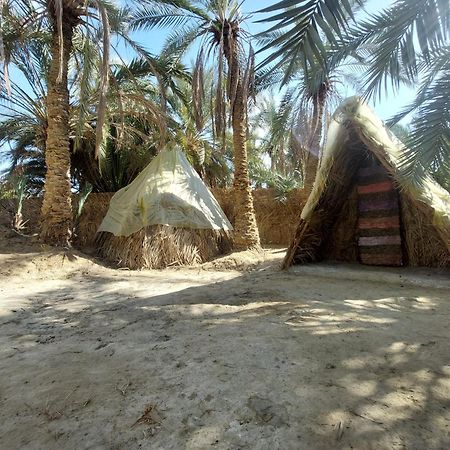 Forest Camp Siwa - كامب الغابة Siwa Oasis Εξωτερικό φωτογραφία