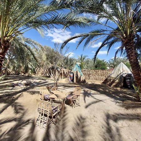 Forest Camp Siwa - كامب الغابة Siwa Oasis Εξωτερικό φωτογραφία