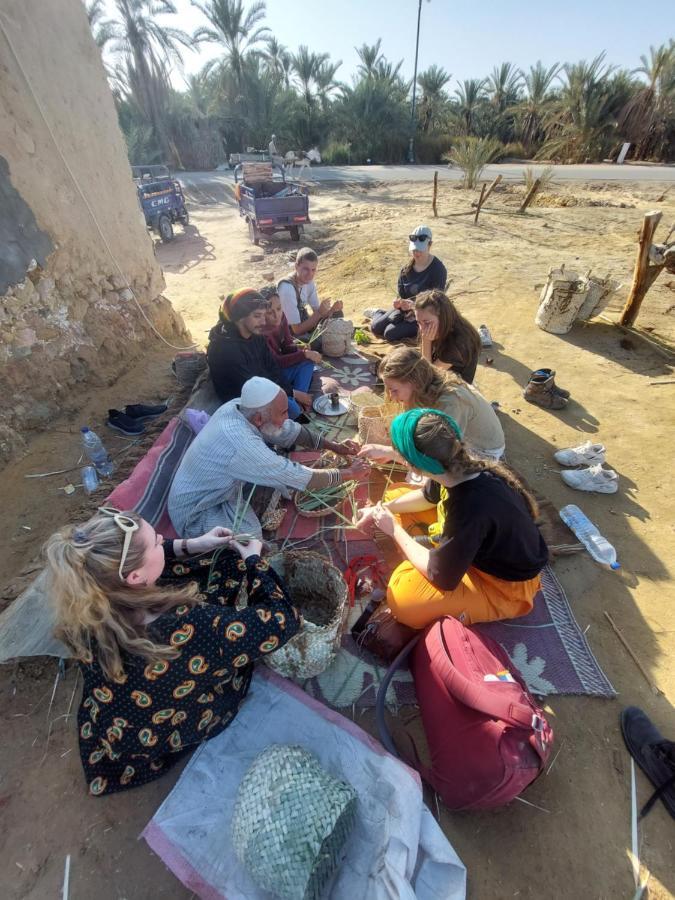 Forest Camp Siwa - كامب الغابة Siwa Oasis Εξωτερικό φωτογραφία