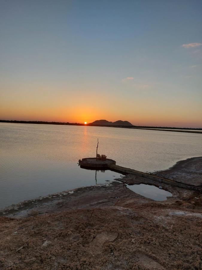 Forest Camp Siwa - كامب الغابة Siwa Oasis Εξωτερικό φωτογραφία