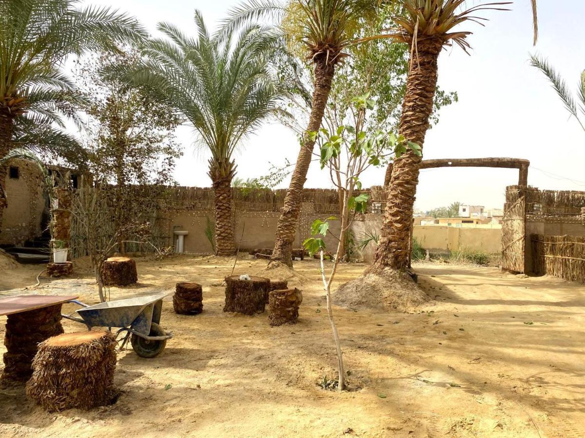 Forest Camp Siwa - كامب الغابة Siwa Oasis Εξωτερικό φωτογραφία