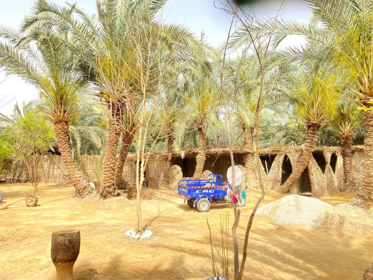 Forest Camp Siwa - كامب الغابة Siwa Oasis Εξωτερικό φωτογραφία