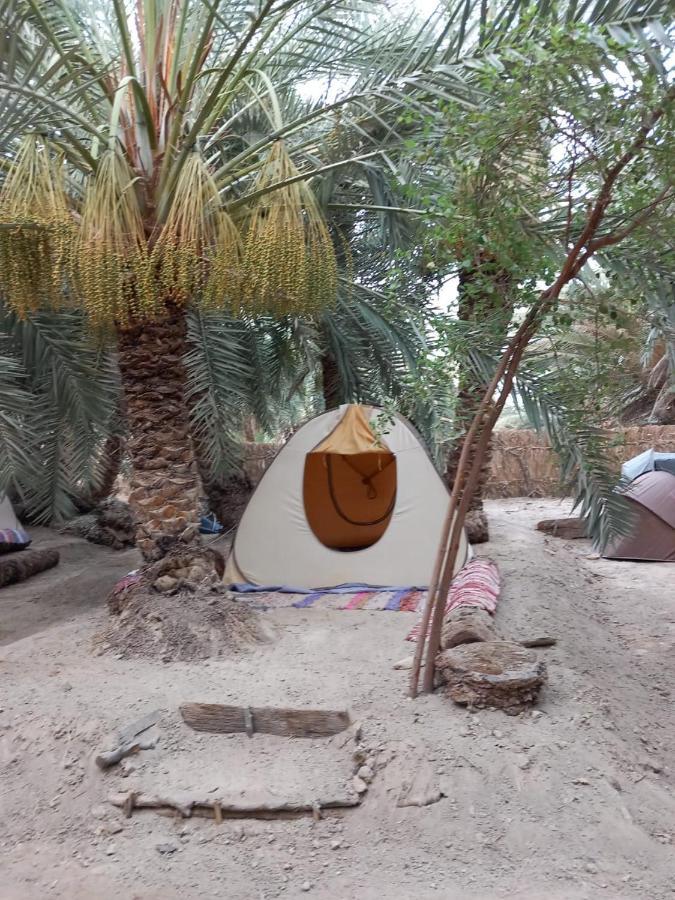 Forest Camp Siwa - كامب الغابة Siwa Oasis Εξωτερικό φωτογραφία