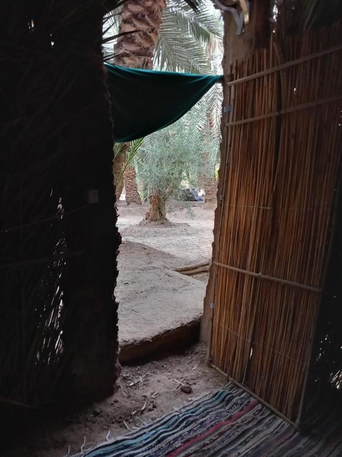 Forest Camp Siwa - كامب الغابة Siwa Oasis Εξωτερικό φωτογραφία