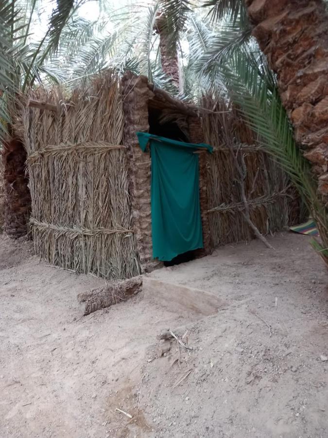 Forest Camp Siwa - كامب الغابة Siwa Oasis Εξωτερικό φωτογραφία