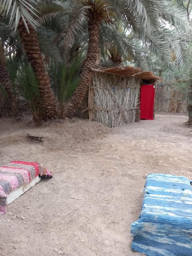 Forest Camp Siwa - كامب الغابة Siwa Oasis Εξωτερικό φωτογραφία