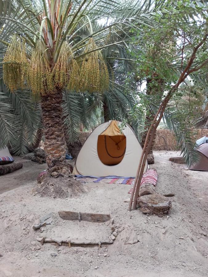 Forest Camp Siwa - كامب الغابة Siwa Oasis Εξωτερικό φωτογραφία