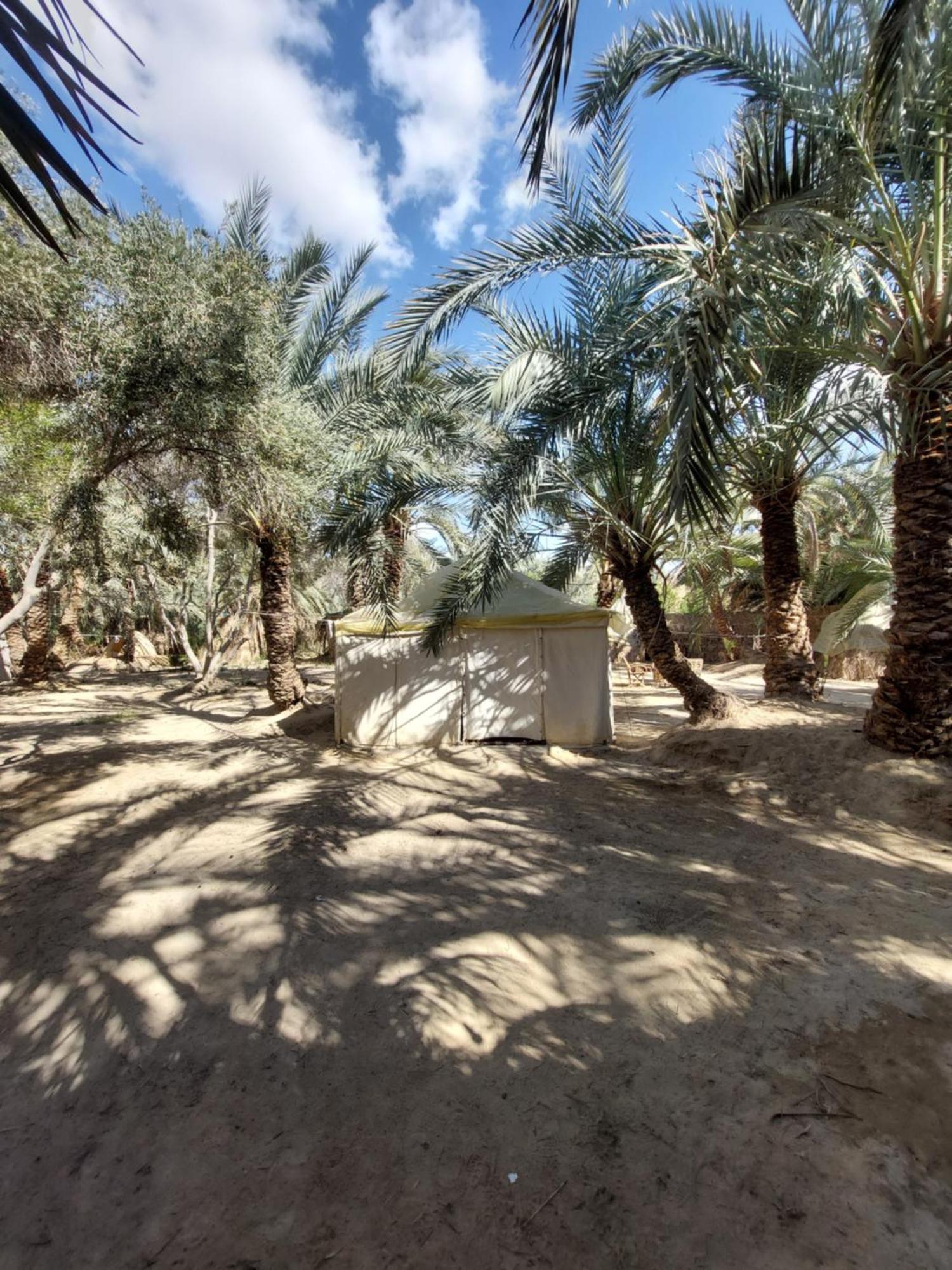 Forest Camp Siwa - كامب الغابة Siwa Oasis Εξωτερικό φωτογραφία