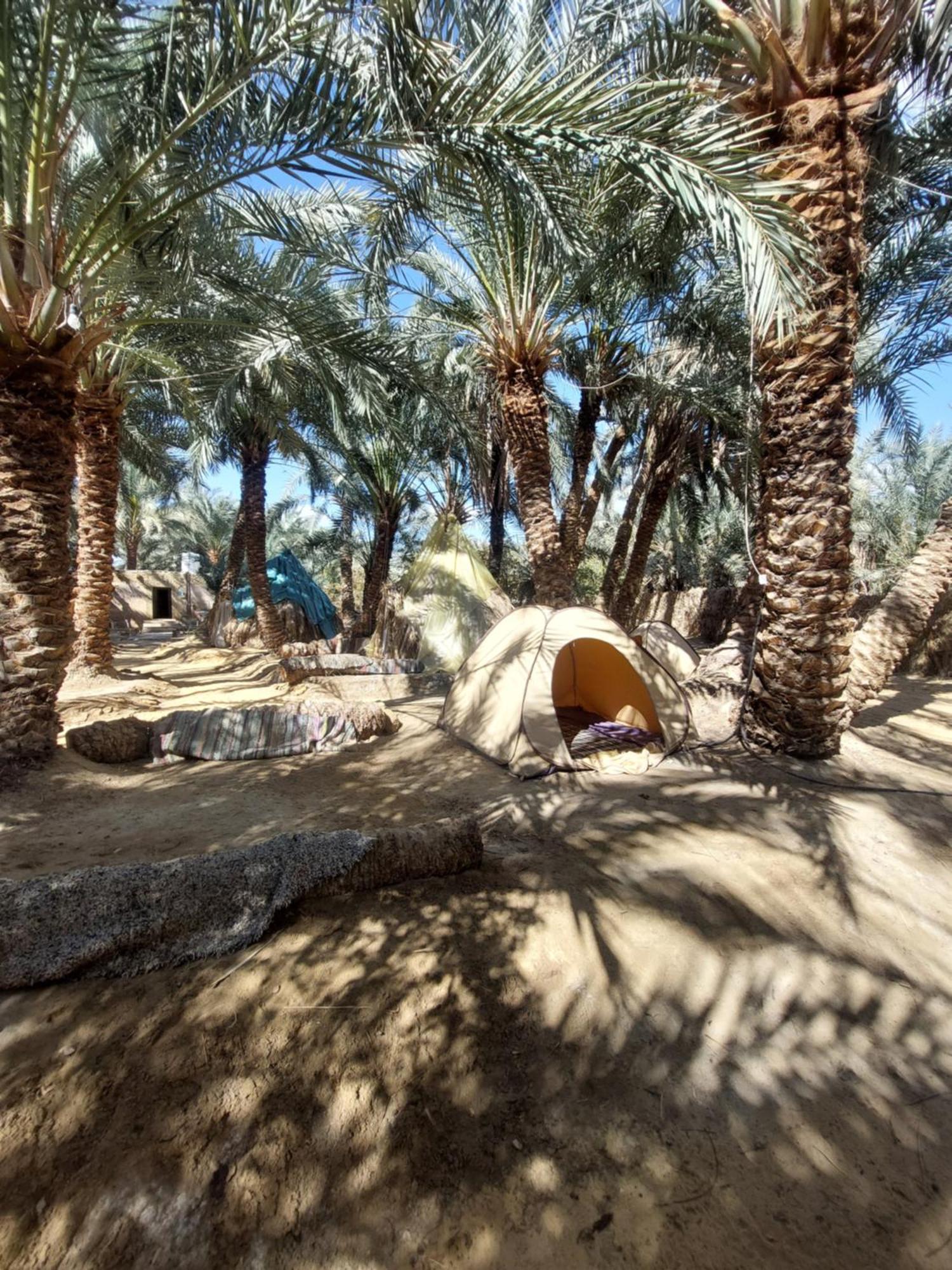 Forest Camp Siwa - كامب الغابة Siwa Oasis Εξωτερικό φωτογραφία