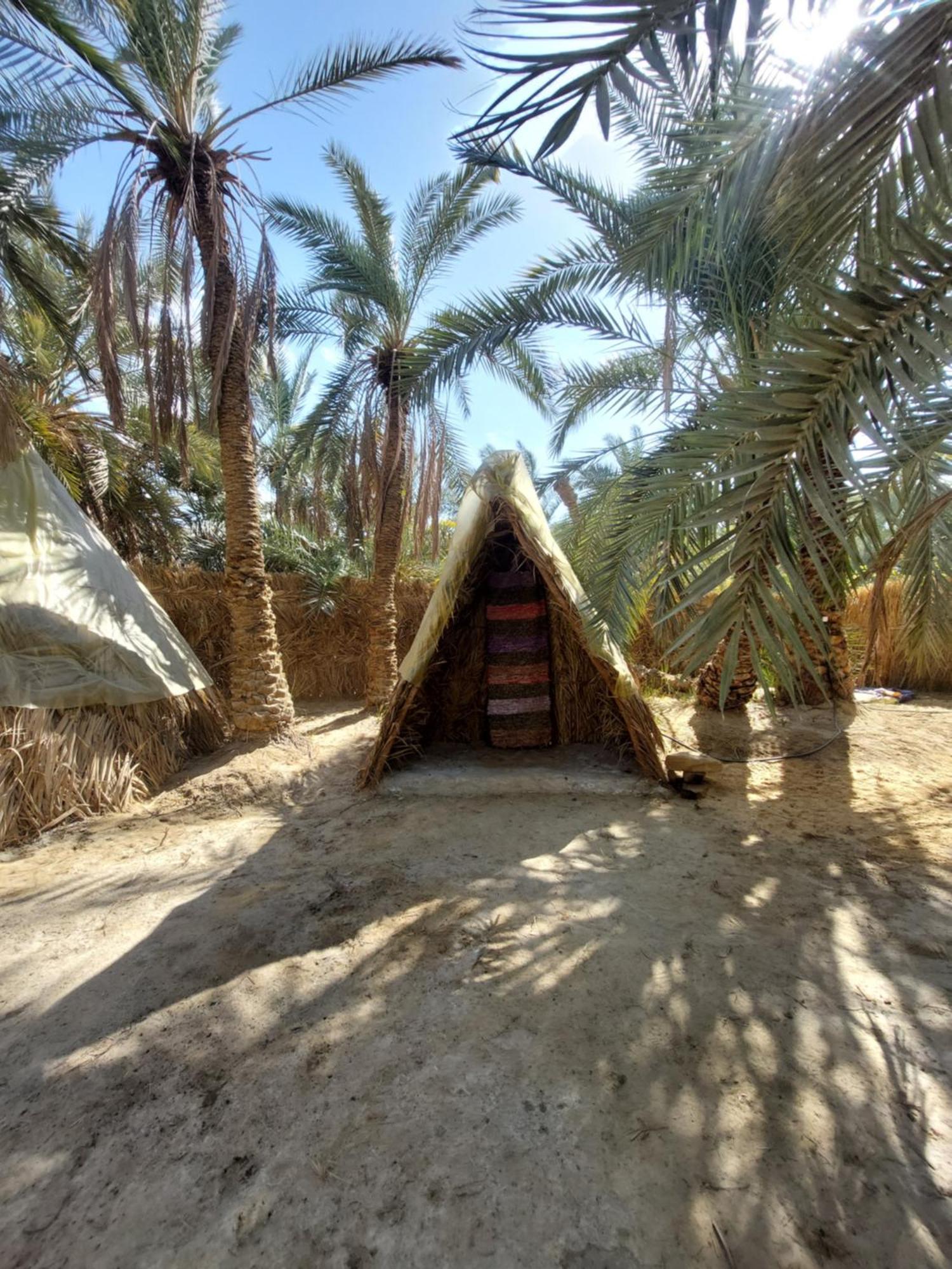 Forest Camp Siwa - كامب الغابة Siwa Oasis Εξωτερικό φωτογραφία