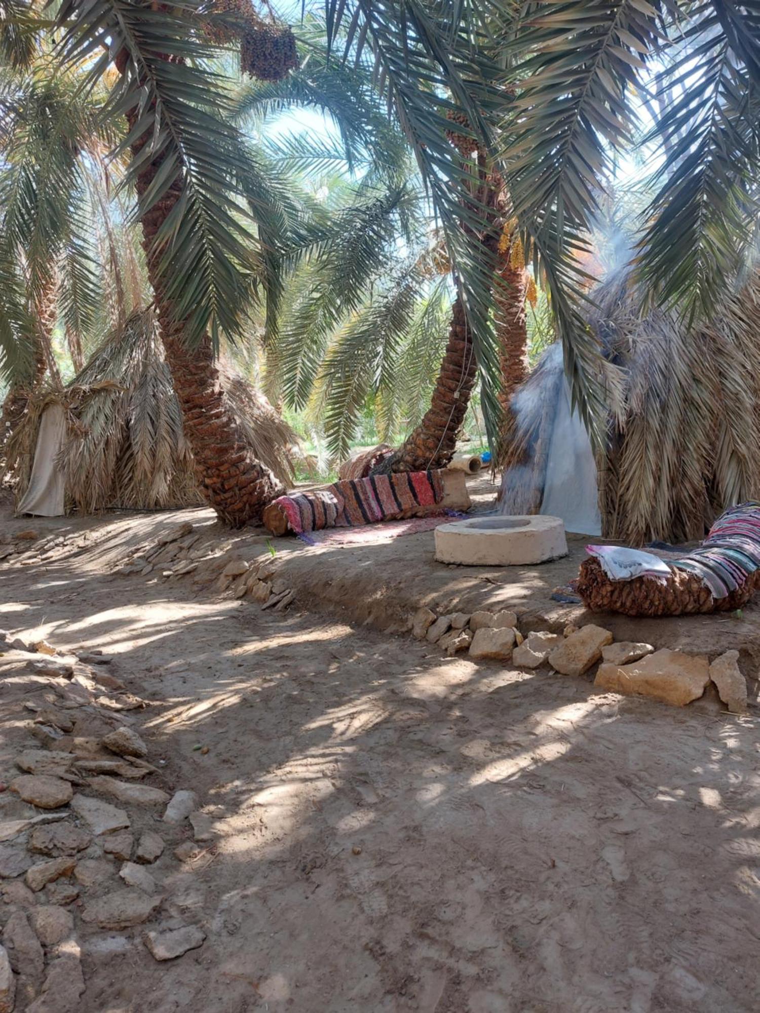 Forest Camp Siwa - كامب الغابة Siwa Oasis Εξωτερικό φωτογραφία