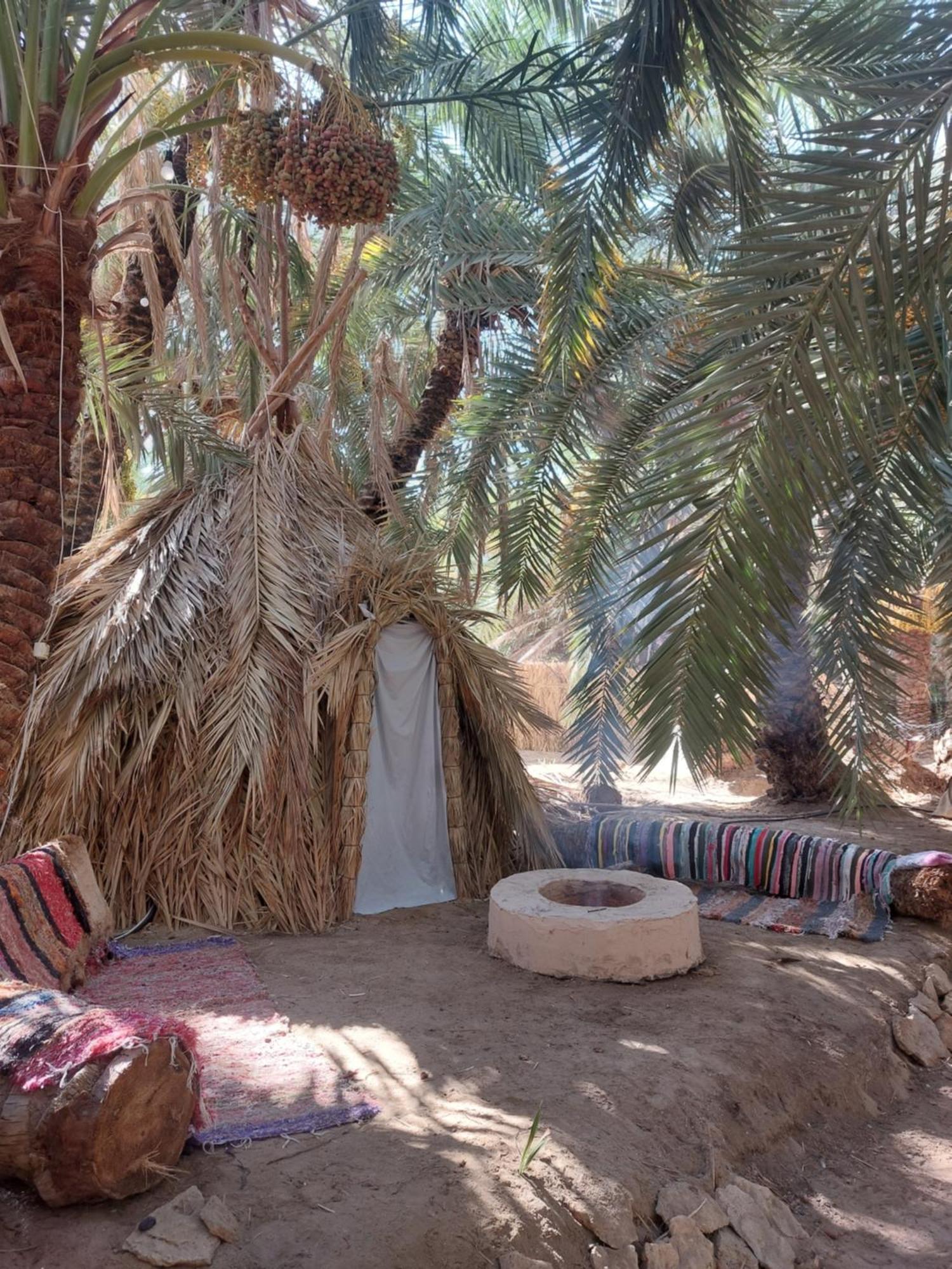 Forest Camp Siwa - كامب الغابة Siwa Oasis Εξωτερικό φωτογραφία