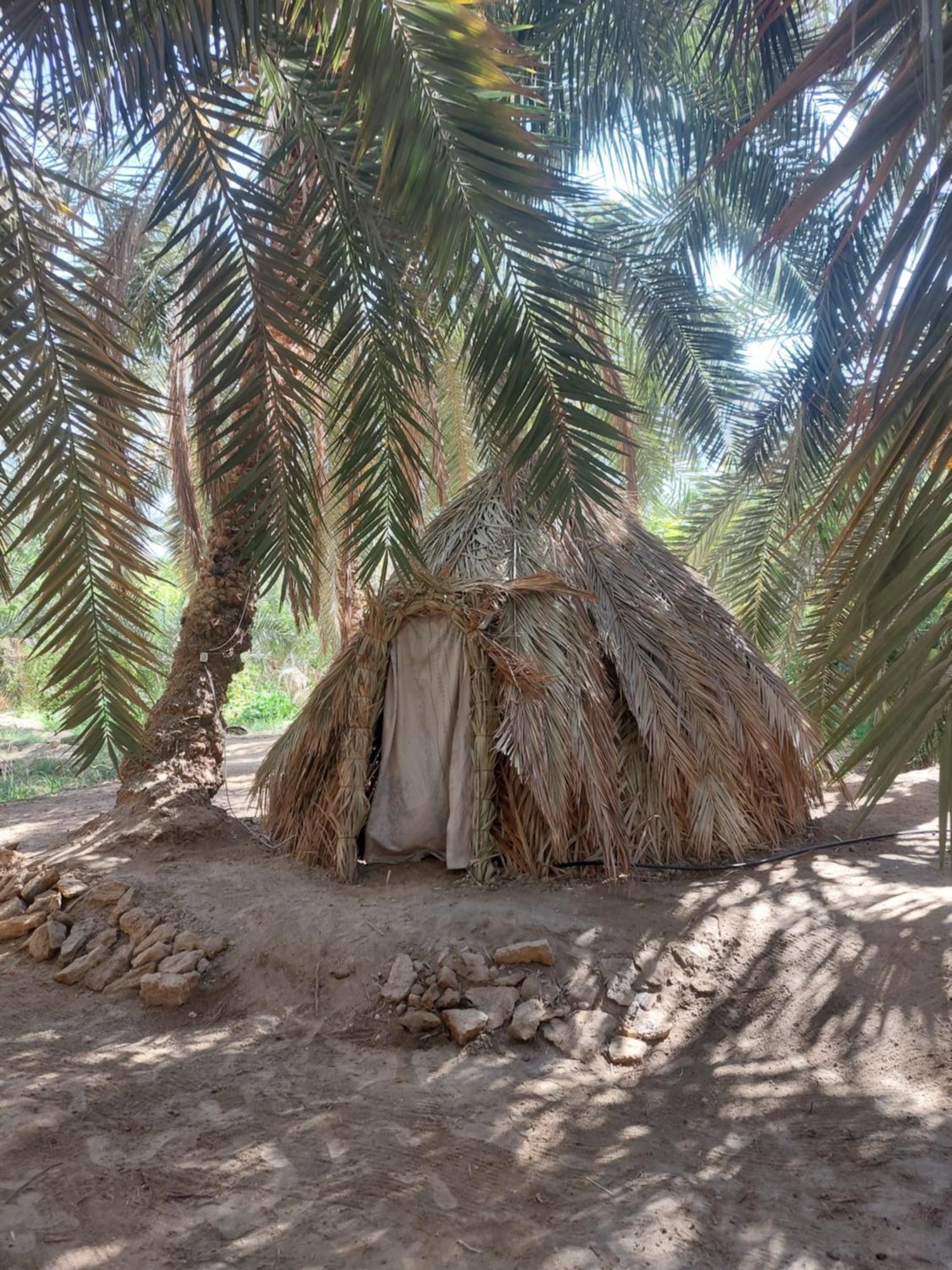 Forest Camp Siwa - كامب الغابة Siwa Oasis Εξωτερικό φωτογραφία