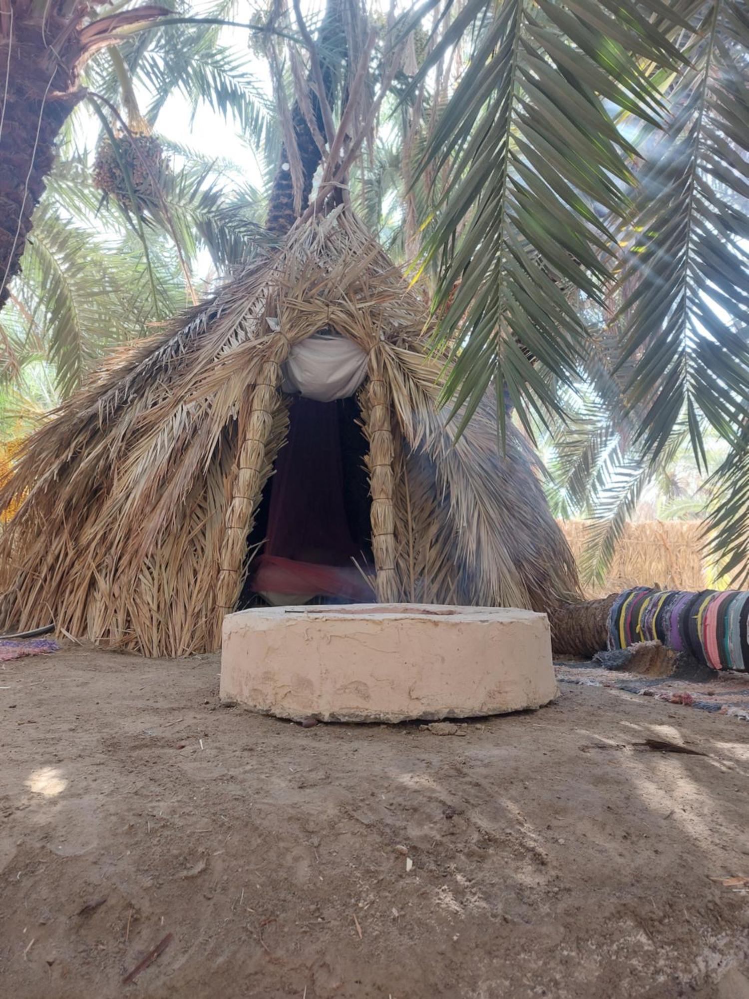 Forest Camp Siwa - كامب الغابة Siwa Oasis Εξωτερικό φωτογραφία