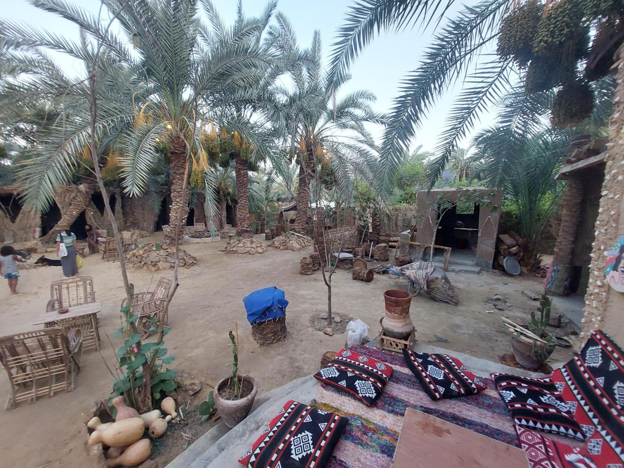 Forest Camp Siwa - كامب الغابة Siwa Oasis Εξωτερικό φωτογραφία